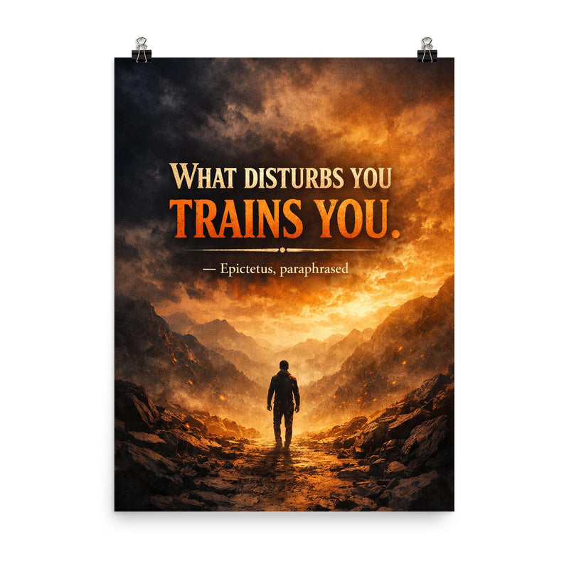 What disturbs you trains you Epictetus paraphrased poster on a plain backdrop in size 8