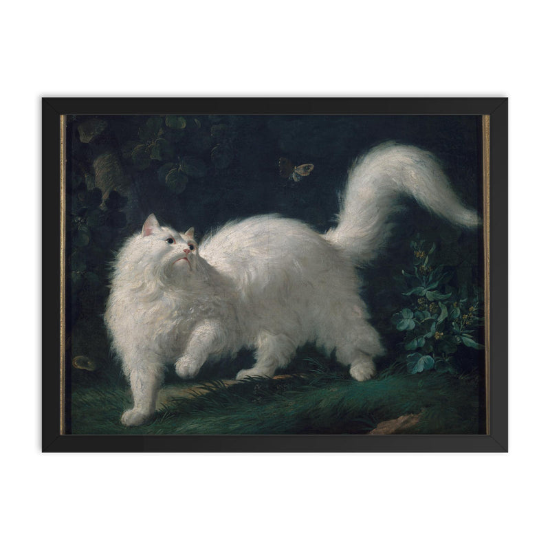 White Angora Cat Chasing a Butterfly by Jean-Jacques Bachelier, 1761 framed print on a plain backdrop in size 18