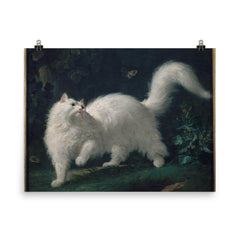 White Angora Cat Chasing a Butterfly by Jean-Jacques Bachelier, 1761 poster on a plain backdrop in size 8"x10".