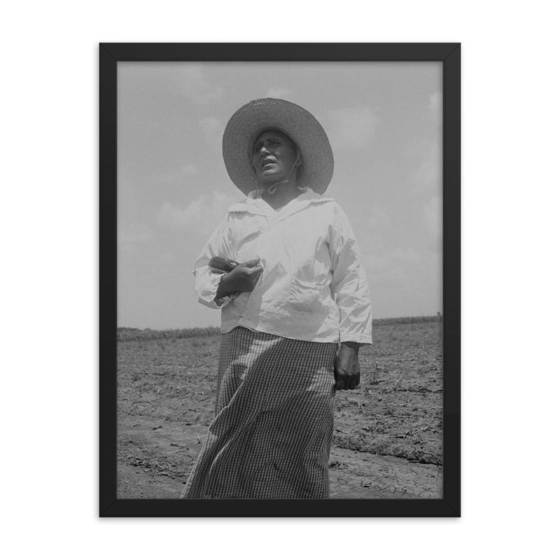 Wife of a Mexican sharecropper near Bryan, Texas by Dorothea Lange framed print on a plain backdrop in size 18