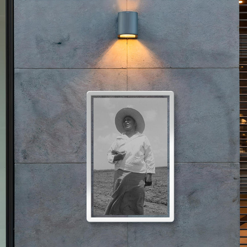Wife of a Mexican sharecropper near Bryan, Texas by Dorothea Lange poster 2