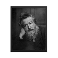 William Morris framed print on a plain backdrop in size 16"x20".