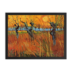 Willows at Sunset by Vincent van Gogh, 1888 framed print on a plain backdrop in size 18"x24".