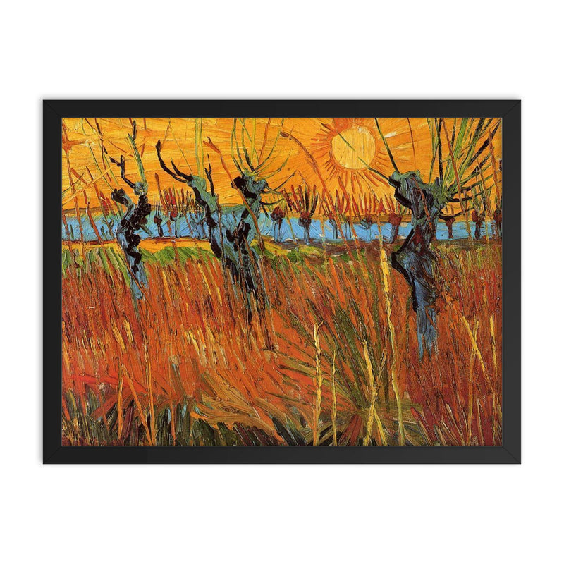 Willows at Sunset by Vincent van Gogh, 1888 framed print on a plain backdrop in size 18