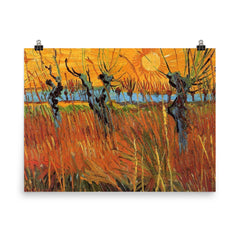 Willows at Sunset by Vincent van Gogh, 1888 poster on a plain backdrop in size 8"x10".
