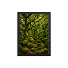 Wistman's Wood Dartmoor England framed print on a plain backdrop in size 12"x16".