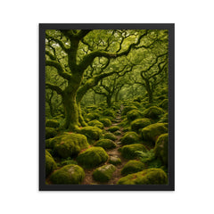 Wistman's Wood Dartmoor England framed print on a plain backdrop in size 16"x20".