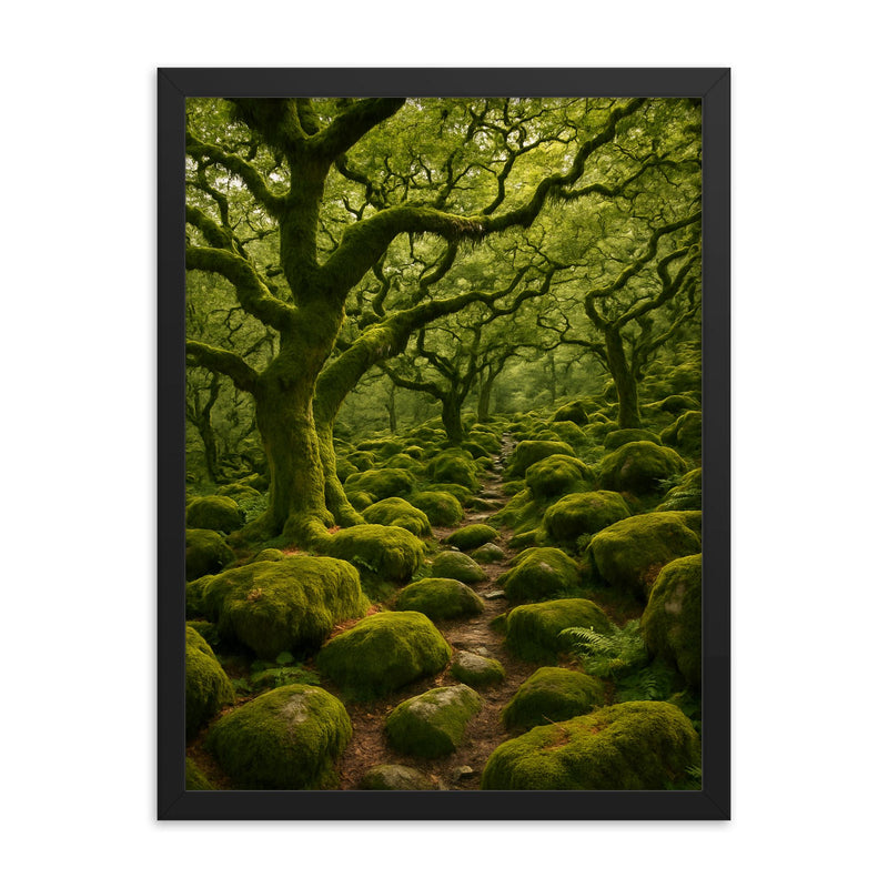 Wistman's Wood Dartmoor England framed print on a plain backdrop in size 18