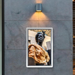 Woman of the Colonies by Charles Cordier, 1861 poster 2