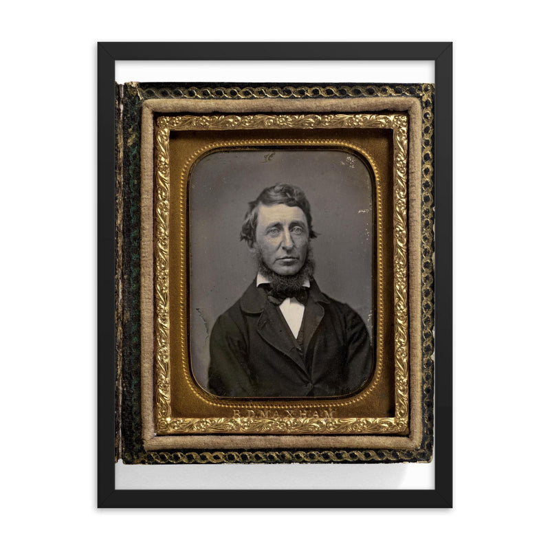 Writer Henry David Thoreau by Benjamin D. Maxham, 1856 framed print on a plain backdrop in size 18