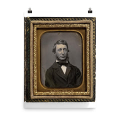 Writer Henry David Thoreau by Benjamin D. Maxham, 1856 poster on a plain backdrop in size 8"x10".