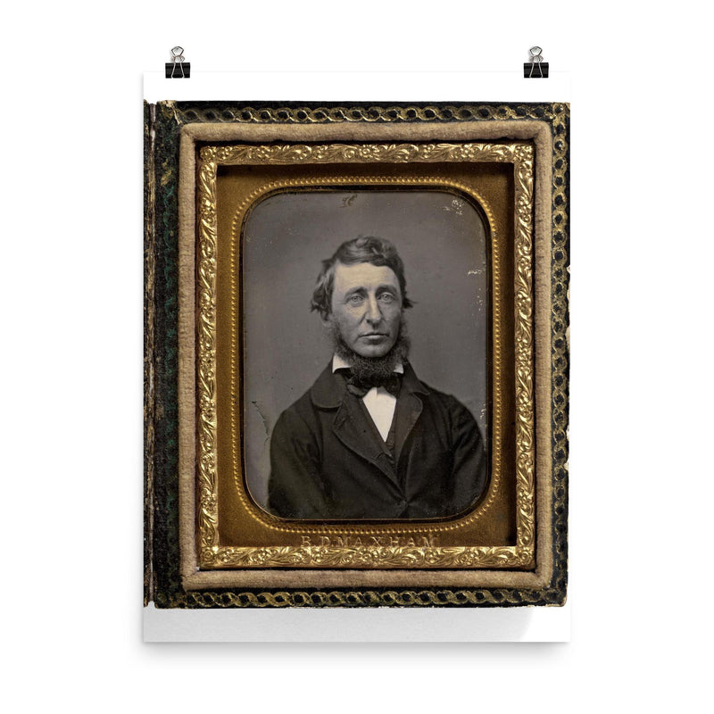 Writer Henry David Thoreau by Benjamin D. Maxham, 1856 poster on a plain backdrop in size 8