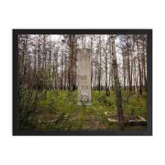 WW2 Memorial in Chernobyl Exclusion Zone, 1943 framed print on a plain backdrop in size 18"x24".