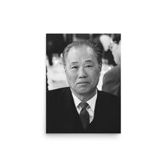 Zhao Ziyang poster on a plain backdrop in size 12"x16".