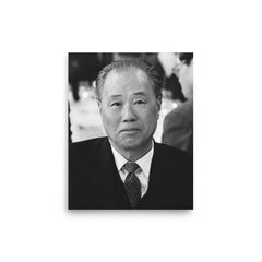 Zhao Ziyang poster on a plain backdrop in size 8"x10".