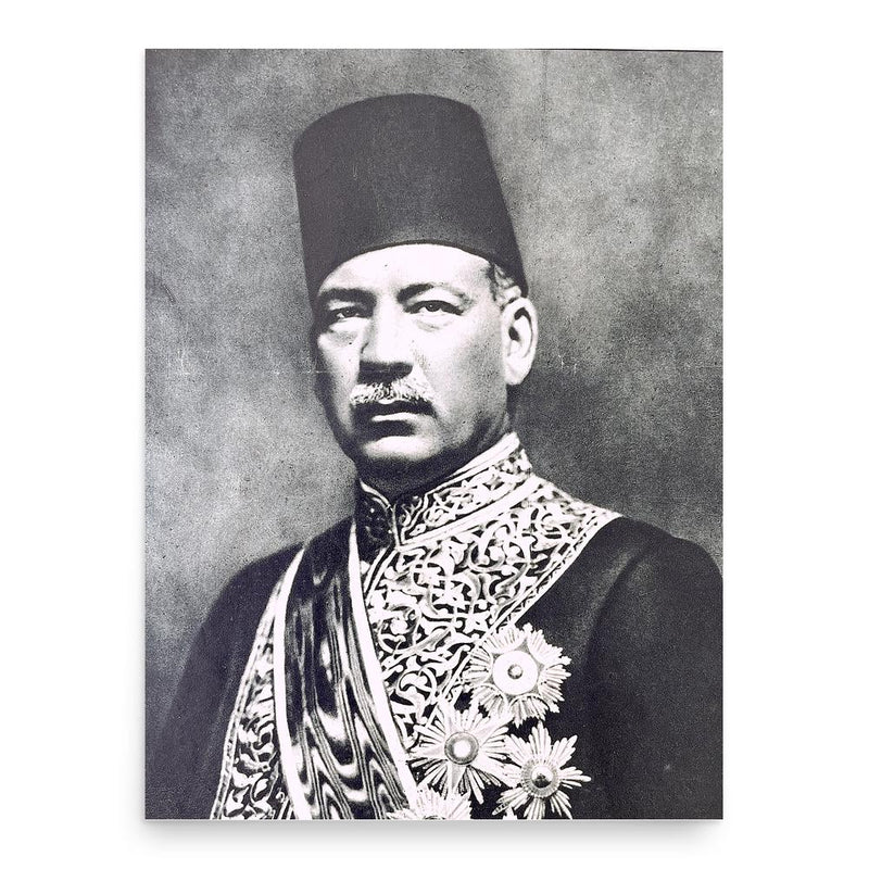 Abdel Khalek Sarwat Pasha poster print, in size 18x24 inches.