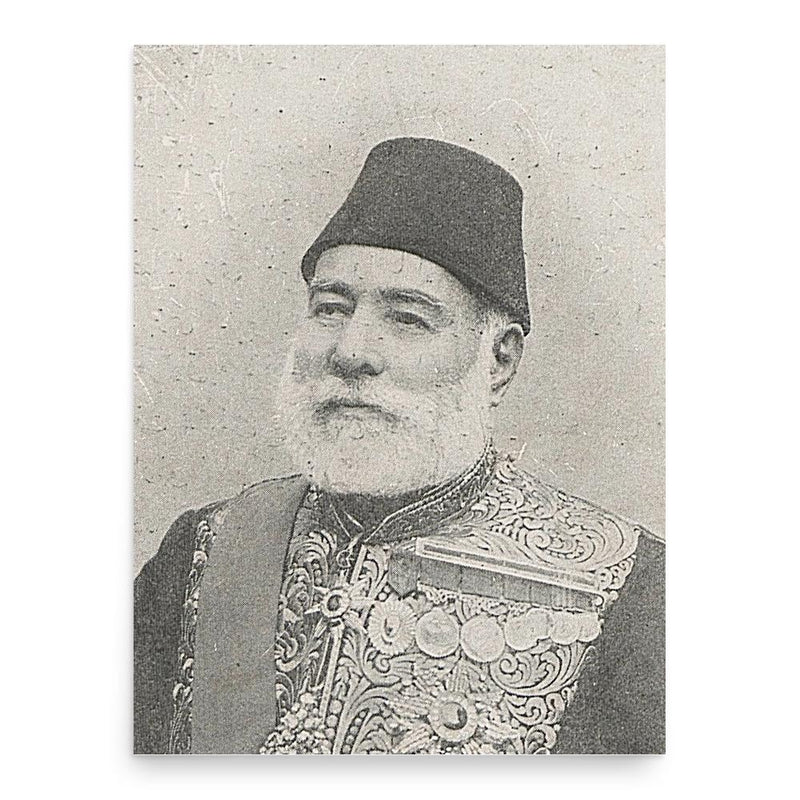 Abdurrahman Nurettin Pasha poster print, in size 18x24 inches.