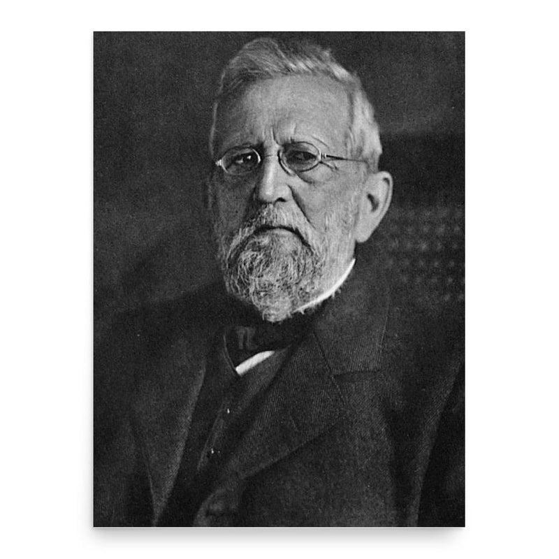 Adolf von Koenen poster print, in size 18x24 inches.