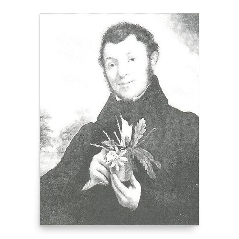 Adrian Hardy Haworth poster print, in size 18x24 inches.