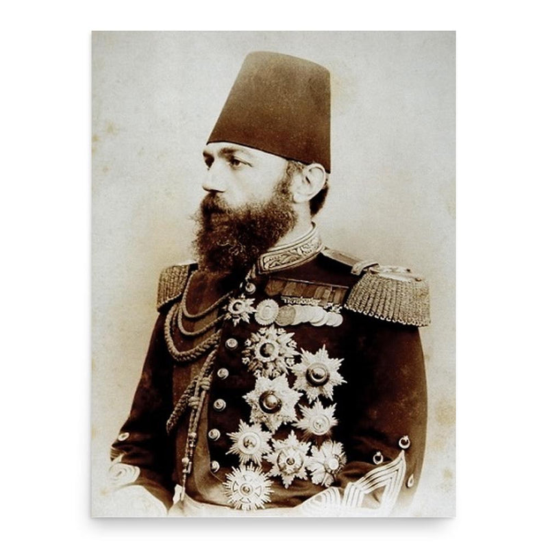 Ahmed Cevad Pasha poster print, in size 18x24 inches.