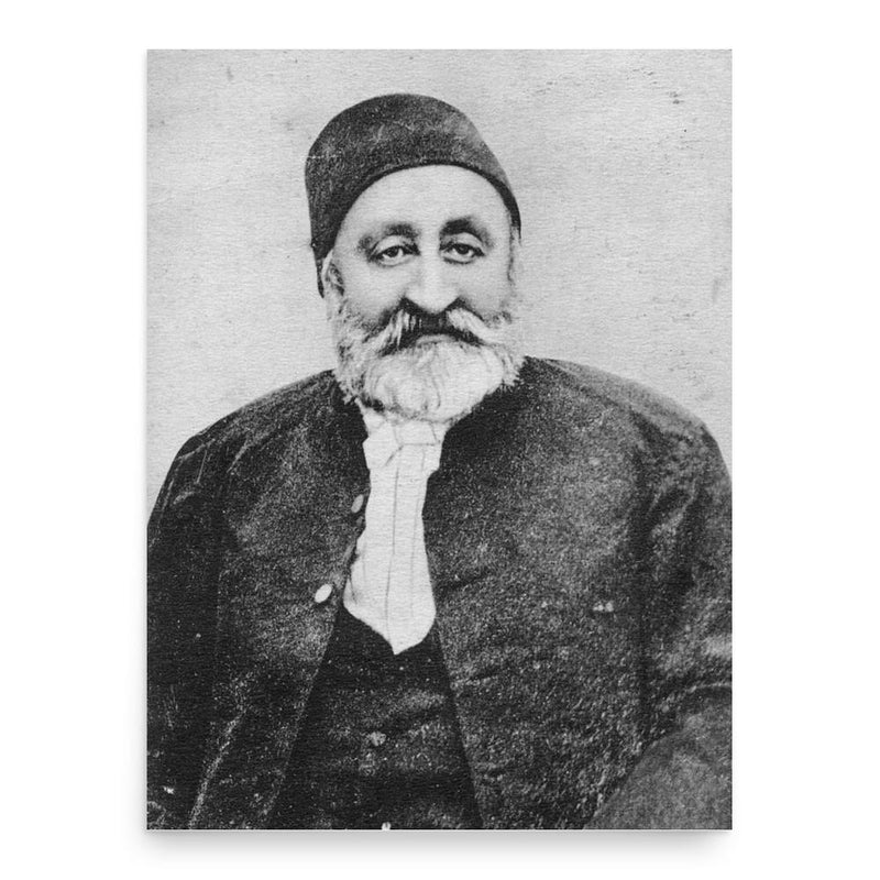 Ahmed Vefik Pasha poster print, in size 18x24 inches.