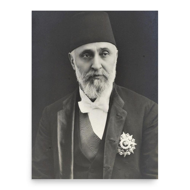 Ahmet Tevfik Pasha poster print, in size 18x24 inches.