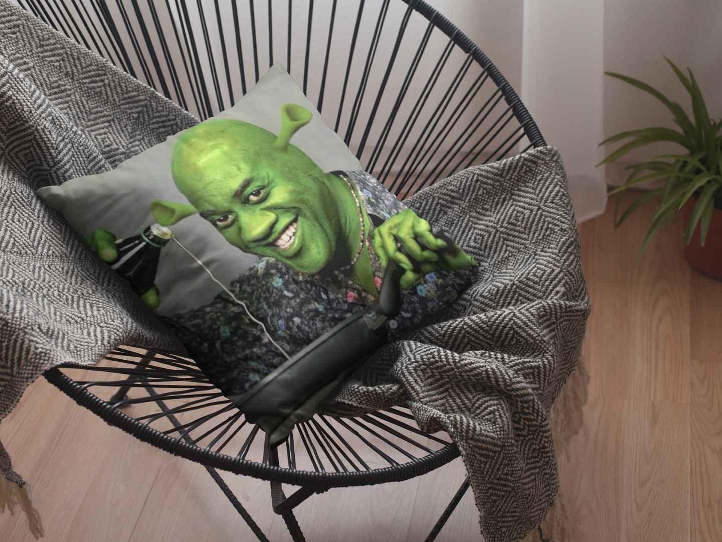 Ainsley Harriott Shrek throw pillow placed on a modern basket-style chair.