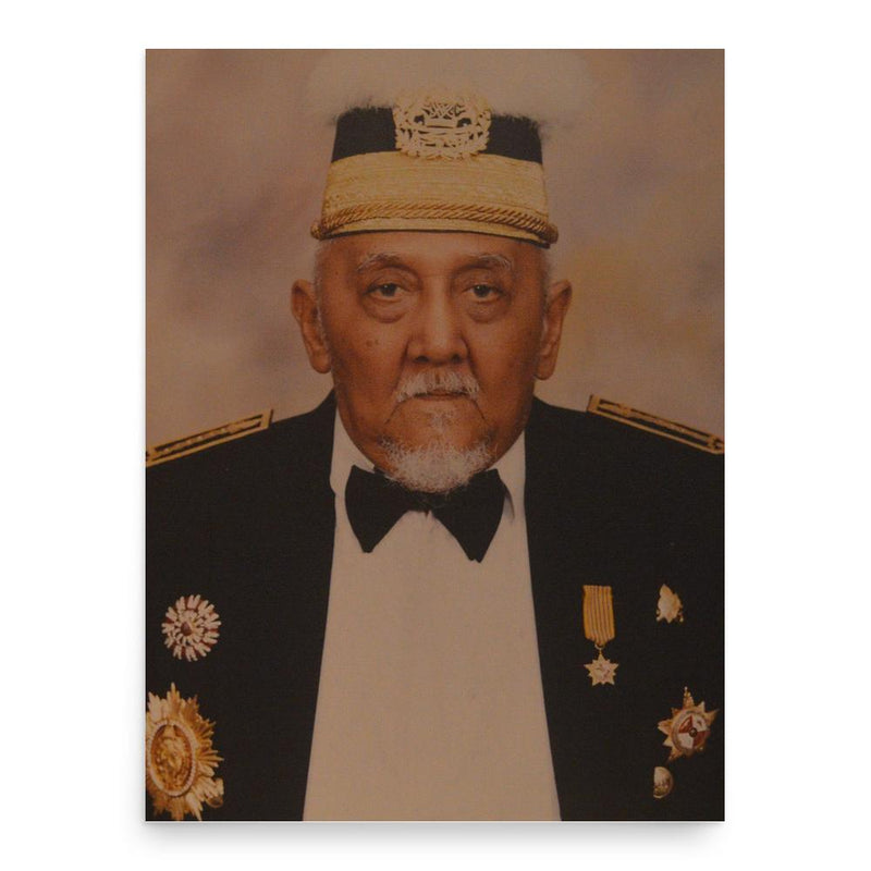Aji Muhammad Salehuddin II poster print, in size 18x24 inches.