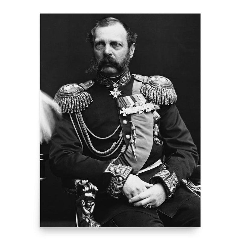 Alexander II of Russia poster print, in size 18x24 inches.