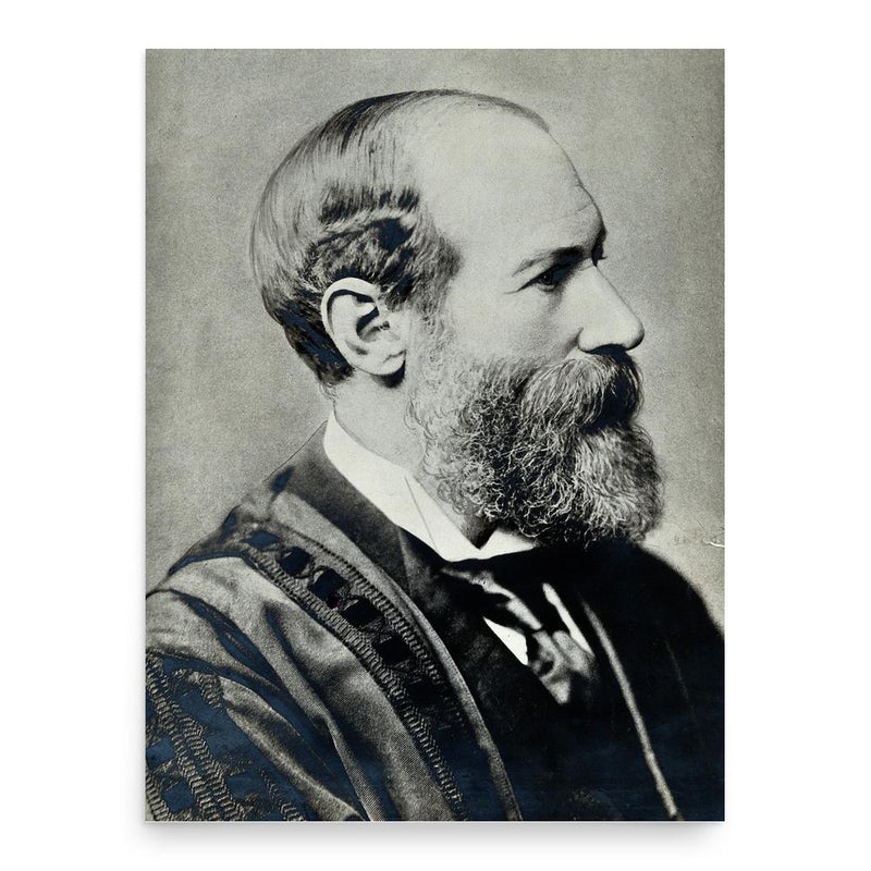 Alexander Macalister poster print, in size 18x24 inches.