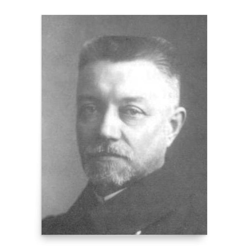 Alexander Zelenoy poster print, in size 18x24 inches.