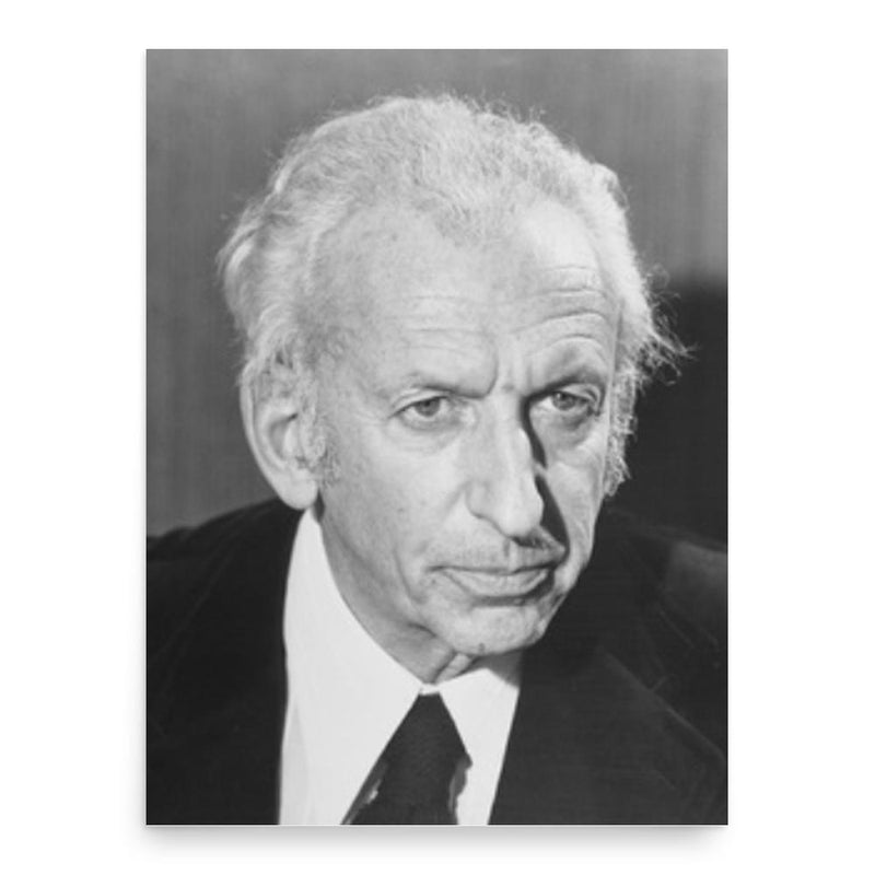 Alexandre Minkowski poster print, in size 18x24 inches.