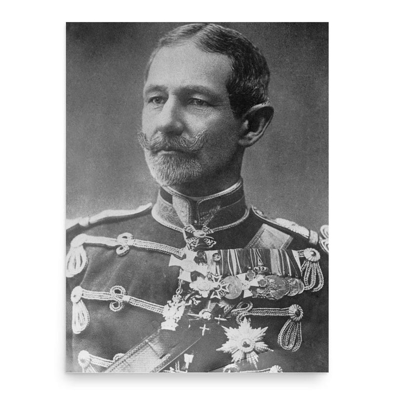 Alexandru Averescu poster print, in size 18x24 inches.