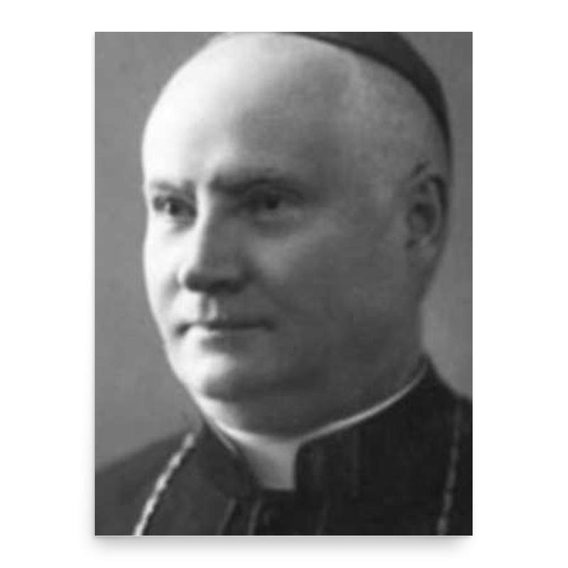 Alexandru Cisar poster print, in size 18x24 inches.