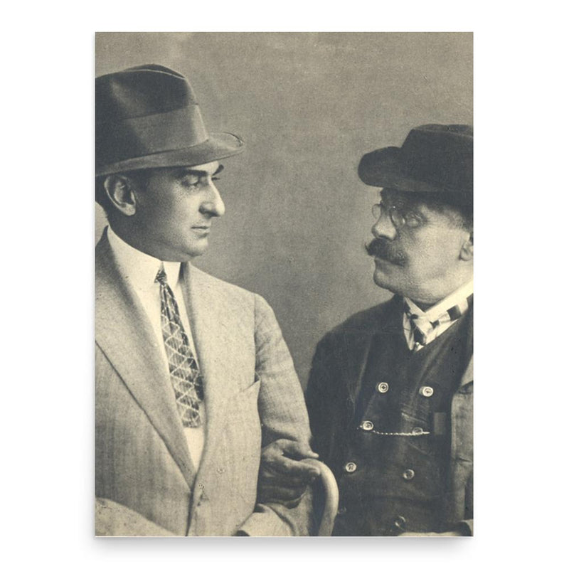 Alexandru Davila poster print, in size 18x24 inches.