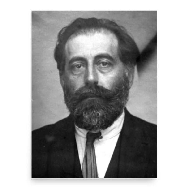 Alexandru Dobrogeanu-Gherea poster print, in size 18x24 inches.