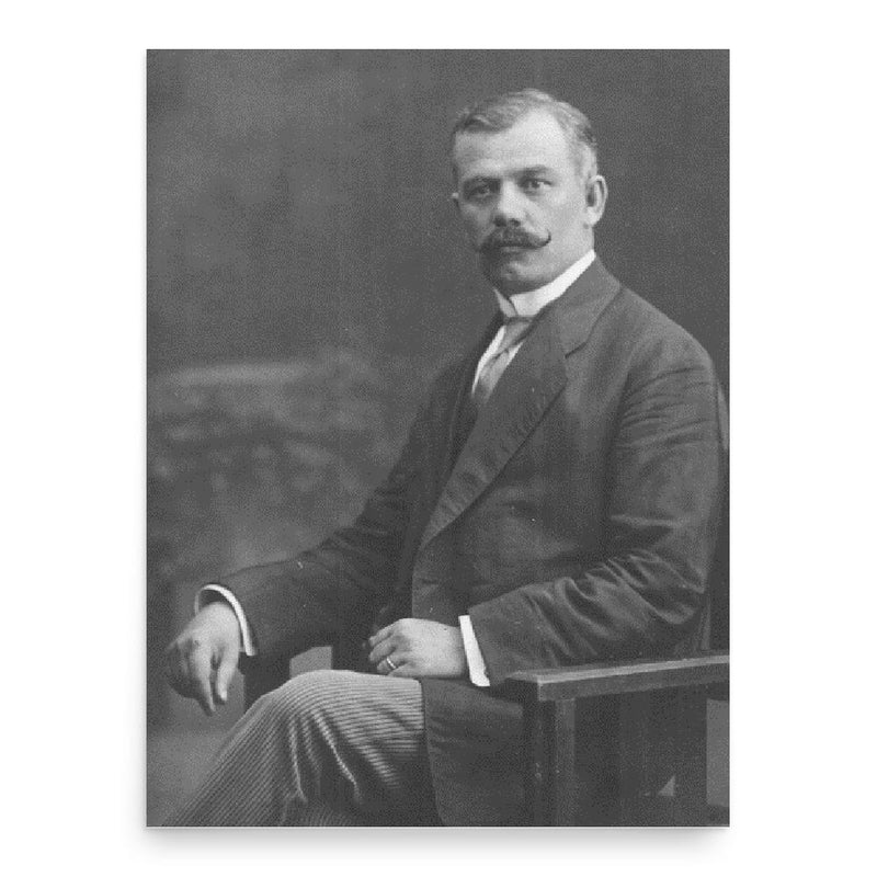 Alexandru Lapedatu poster print, in size 18x24 inches.