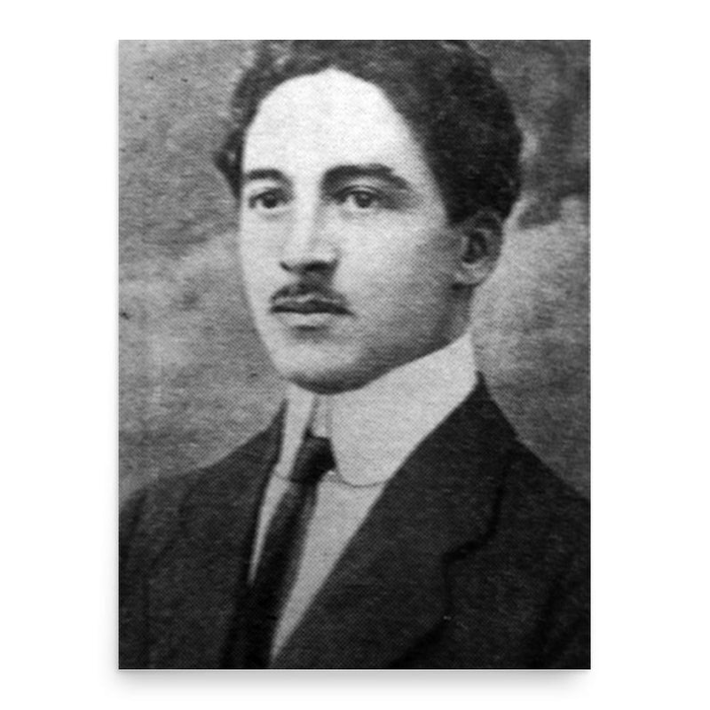 Alexandru Nicolau poster print, in size 18x24 inches.