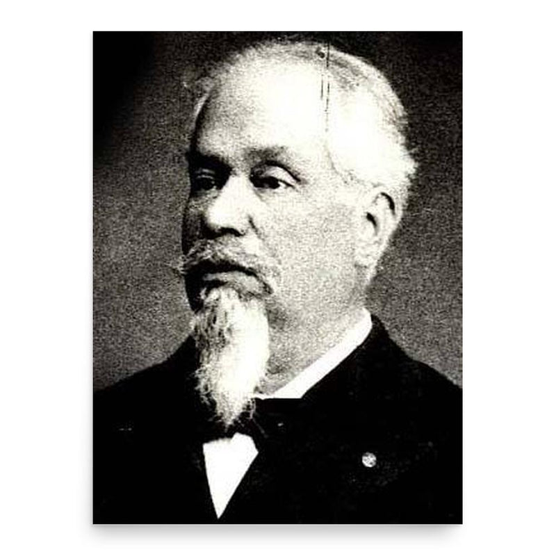 Alexandru Papadopol-Calimah poster print, in size 18x24 inches.