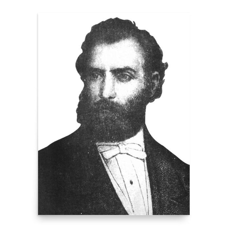 Alexandru Papiu Ilarian poster print, in size 18x24 inches.