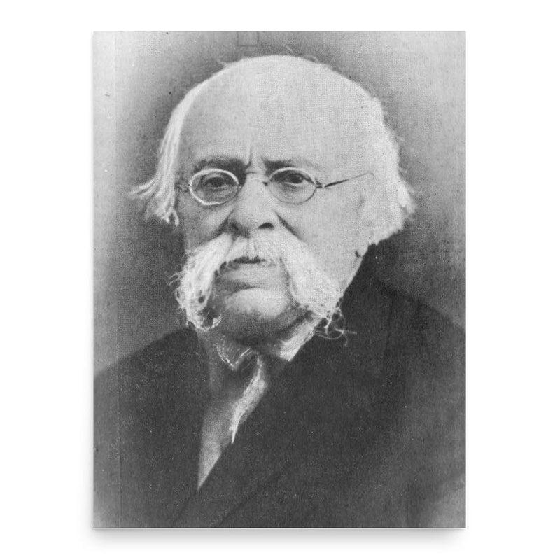 Alexandru Philippide poster print, in size 18x24 inches.