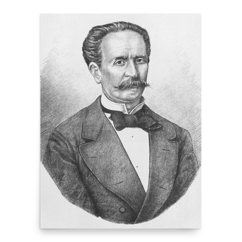 Alexandru Plagino poster print, in size 18x24 inches.