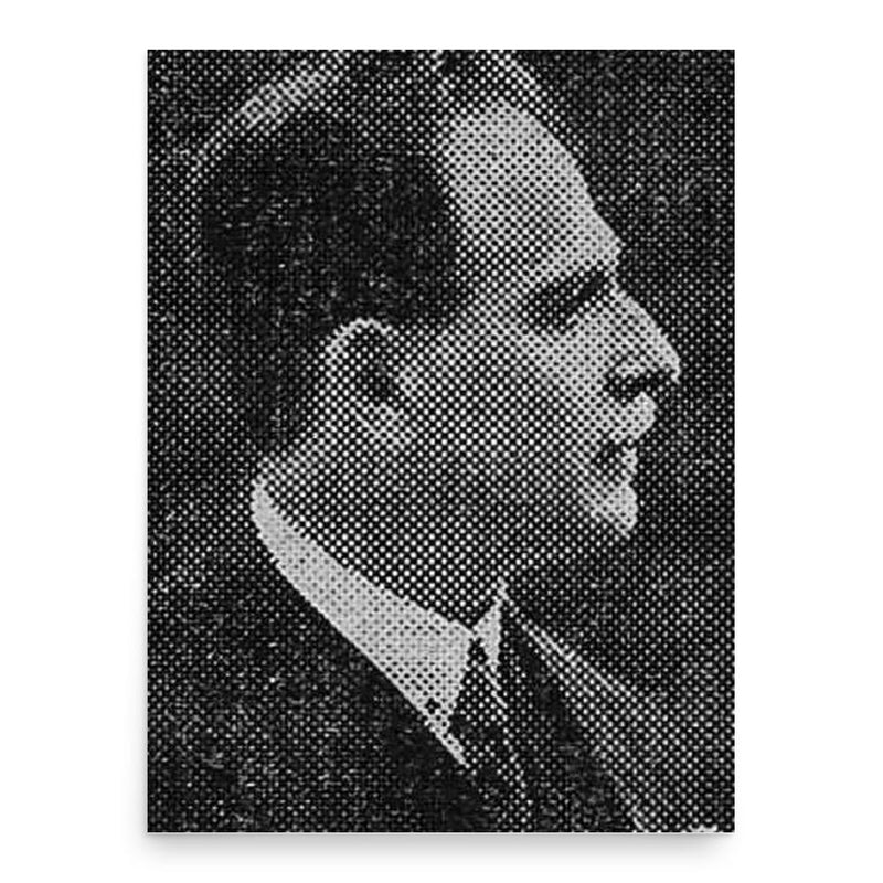 Alexandru Toma poster print, in size 18x24 inches.