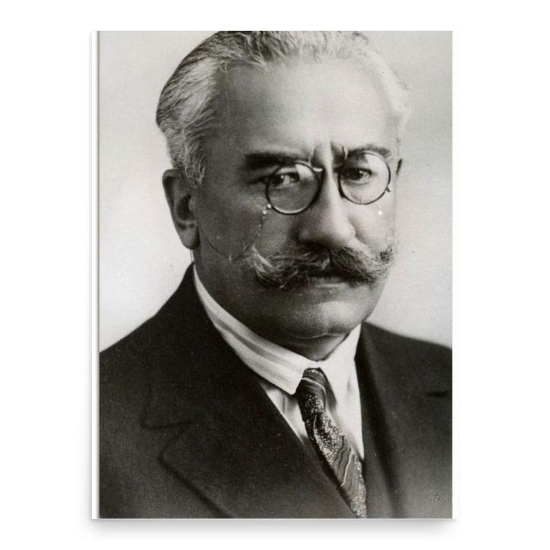 Alexandru Vaida-Voevod poster print, in size 18x24 inches.