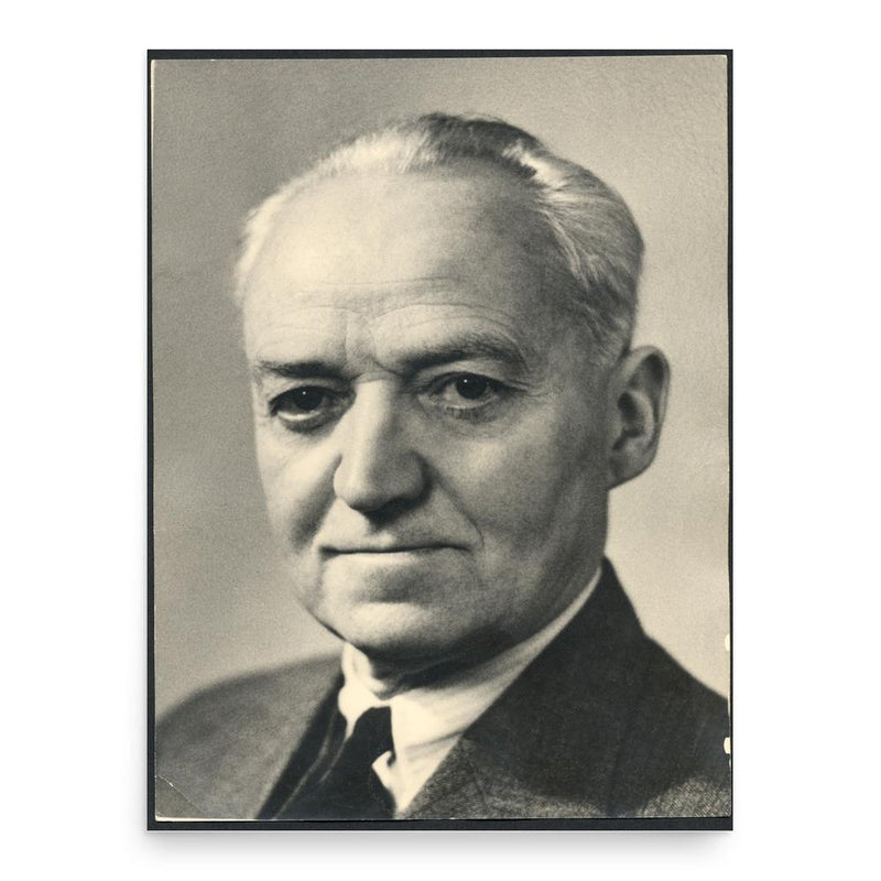 Alfred Amonn poster print, in size 18x24 inches.