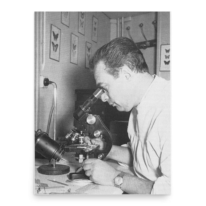 Alfred Balachowsky poster print, in size 18x24 inches.