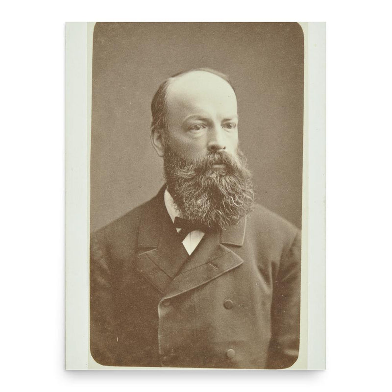 Alfred Friedrich Bluntschli poster print, in size 18x24 inches.