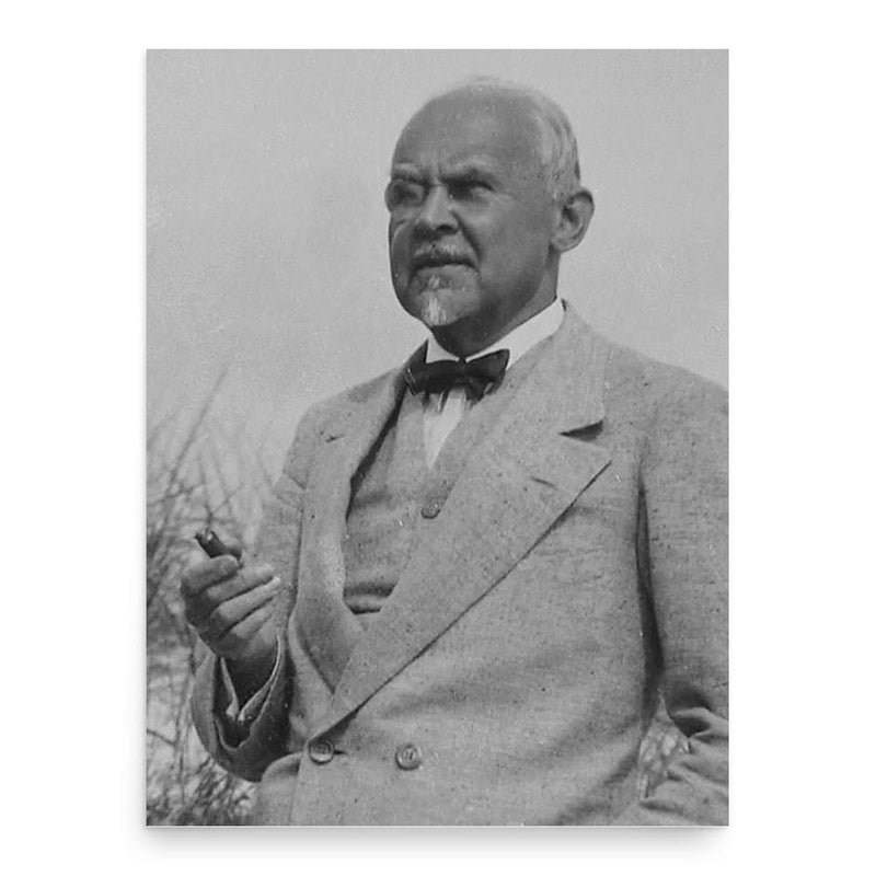 Alfred Grenander poster print, in size 18x24 inches.