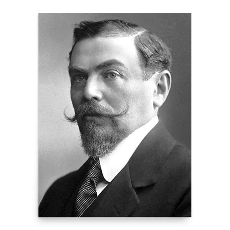 Alfred Hermann Fried poster print, in size 18x24 inches.