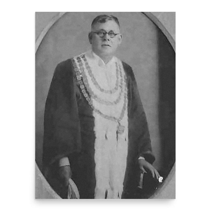 Alfred James Jones poster print, in size 18x24 inches.